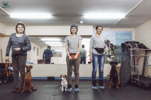 Photo №3. DogPark Dog Training School in Russian Federation