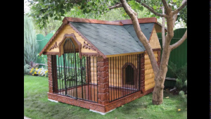 Photo №1. Aviary for dogs. in the city of Kiev. Price - negotiated. Announcement № 1862