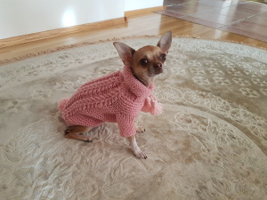 Photo №1. Small dog sweater / Dog clothes / Dog sweater / Pink sweater for dog / Chihuahua in the city of Minsk. Price - 10$. Announcement № 6792