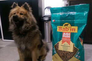 Photo №3. Babin dog and cat food. Russian Federation
