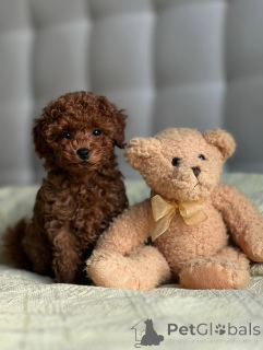 Photo №3. Sold. Thanks for your interest Please Contact whatsapp business 447450021323. Finland