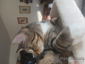 Photo №3. Astrid Kempf. Germany