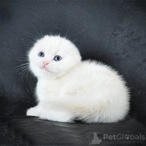 Photo №1.  - for sale in the city of Hannover | 258$ | Announcement № 156668