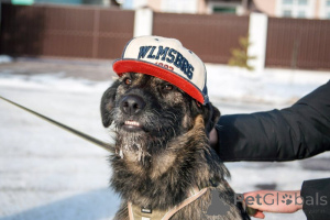 Photo №3. Looking for a house in a very -time Monya!. Russian Federation