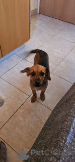 Photo №4. I will sell  in the city of Limassol. private announcement - price - 282$