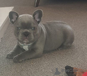 Photo №2 to announcement № 132181 for the sale of  - buy in Switzerland 