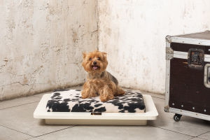 Photo №1. Minimalistic lounger for cats and dogs in the city of Москва. Price - 201$. Announcement № 1154