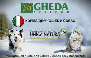 Photo №1. "GHEDA Proper Form Professional Breeders" dog food in the city of St. Petersburg. Price - Negotiated. Announcement № 4238