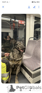 Photo №3. Alexander Morozov. Estonia