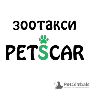 Photo №1. Services for the delivery and transportation of cats and dogs in the city of Москва. Announcement № 36932