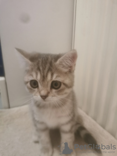 Photo №3. BKH. Germany