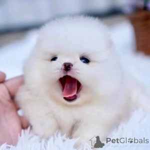 Photo №1.  - for sale in the city of Augsburg | negotiated | Announcement № 161924