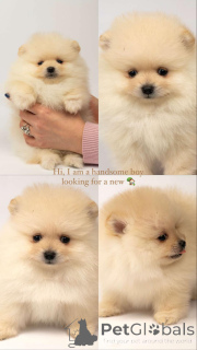 Photo №4. I will sell  in the city of Belgrade.  - price - negotiated