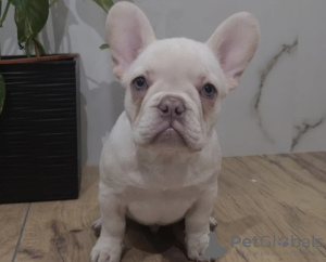 Photo №3. Magdalena. Germany