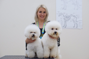 Photo №1. Service of the groomer in the city of Kharkov. Price - 13$. Announcement № 3307