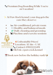 Photo №4. Hotel for animals in United Arab Emirates. Announcement № 145660