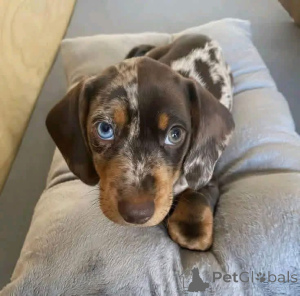 Photo №2 to announcement № 167012 for the sale of  - buy in Spain 