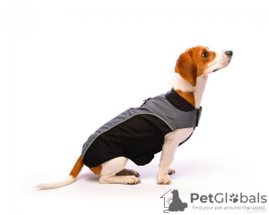 Photo №1. Jacket for dog in the city of Москва. Price - 14$. Announcement № 11537