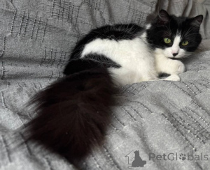 Photo №3. Iris - Air Cloud. Belarus