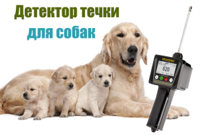 Photo №1. The ideal tool for breeders - DRAMINSKI estuary detector for dogs in the city of Moscow. Price - 564$. Announcement № 2230