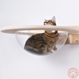 Photo №2. Furniture for dogs and cats in Russian Federation. Price - 101$. Announcement № 5274