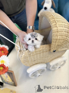 Photo №1.  - for sale in the city of BakerSfield | 500$ | Announcement № 157677