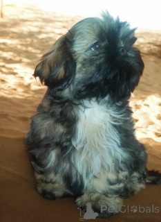 Photo №3. Elzbieta Zabaglo. Poland