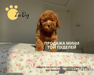 Photo №3. Katerina Burlachenko. Germany