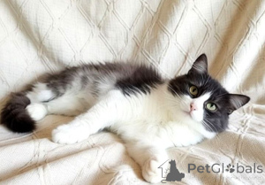 Photo №3. Amazing Lesya. Belarus