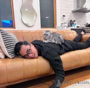 Photo №1.  - for sale in the city of Augustusburg | negotiated | Announcement № 165469