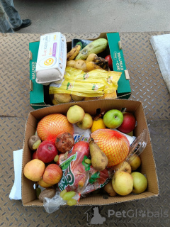 Photo №2. Pet supplies (Nutrition) in Russian Federation. Price - 0$. Announcement № 133800