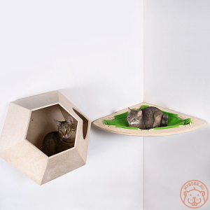 Photo №4. Wall complex 