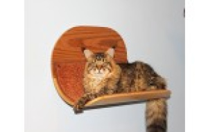 Photo №1. Hammock for cats "Wood" looks more like a bed. in the city of Москва. Price - negotiated. Announcement № 999