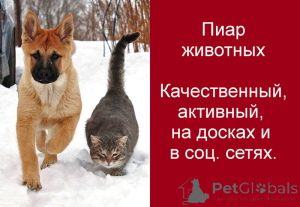 Photo №1. Hotel for animals in the city of Moskova. Price - 4$. Announcement № 152333