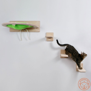 Photo №2. Furniture for dogs and cats in Russian Federation. Price - 61$. Announcement № 5271