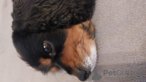 Photo №3. Lyudmila Bulyzhkina. Germany