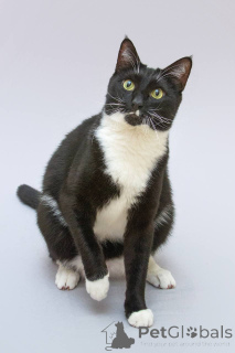 Photo №1.  - for sale in the city of Khimki | Is free | Announcement № 161902