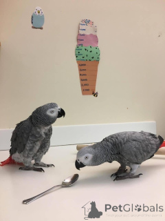 Photo №1.  - for sale in the city of Prague | negotiated | Announcement № 162931