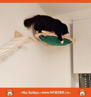 Photo №3. Wall-mounted game complex for cats The road of contemplation in Russian Federation