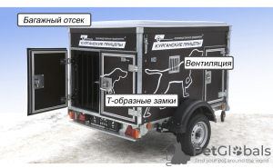Photo №2. Services for the delivery and transportation of cats and dogs in Belarus. Price - 9$. Announcement № 32961