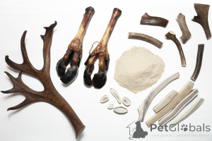 Photo №2. Pet supplies (Nutrition) in Russian Federation. Price - Is free. Announcement № 139158