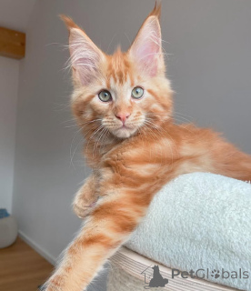 Photo №3. Available. United States