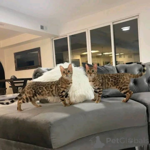 Photo №1.  - for sale in the city of Espoo | 1032$ | Announcement № 161554