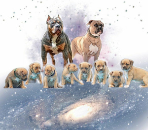 Photo №3. Cool puppies for the most worthy. Russian Federation