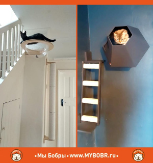 Photo №2. Furniture for dogs and cats in Russian Federation. Price - 25$. Announcement № 5282