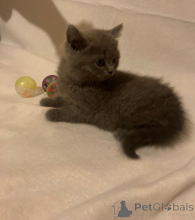 Photo №1.  - for sale in the city of Aarbergen | 329$ | Announcement № 147299