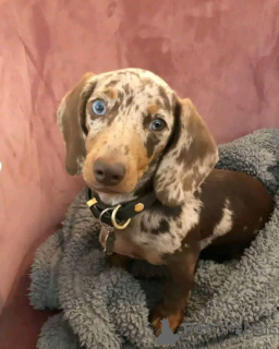 Photo №4. I will sell  in the city of Madrid.  - price - negotiated