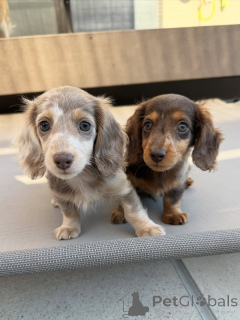 Photo №1.  - for sale in the city of Helsinki | 516$ | Announcement № 164020