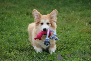 Photo №3. Natalia. Belarus