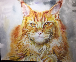 Photo №1. maine coon - for sale in the city of Sevastopol | 273$ | Announcement № 5983